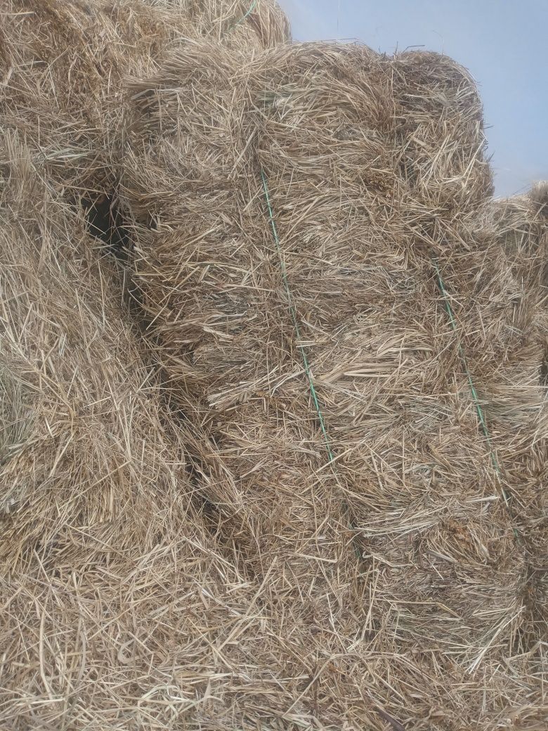 Продається сіно тюковане