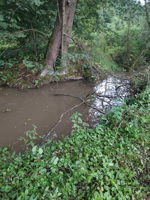 Działka 33 ary - Orzechówka