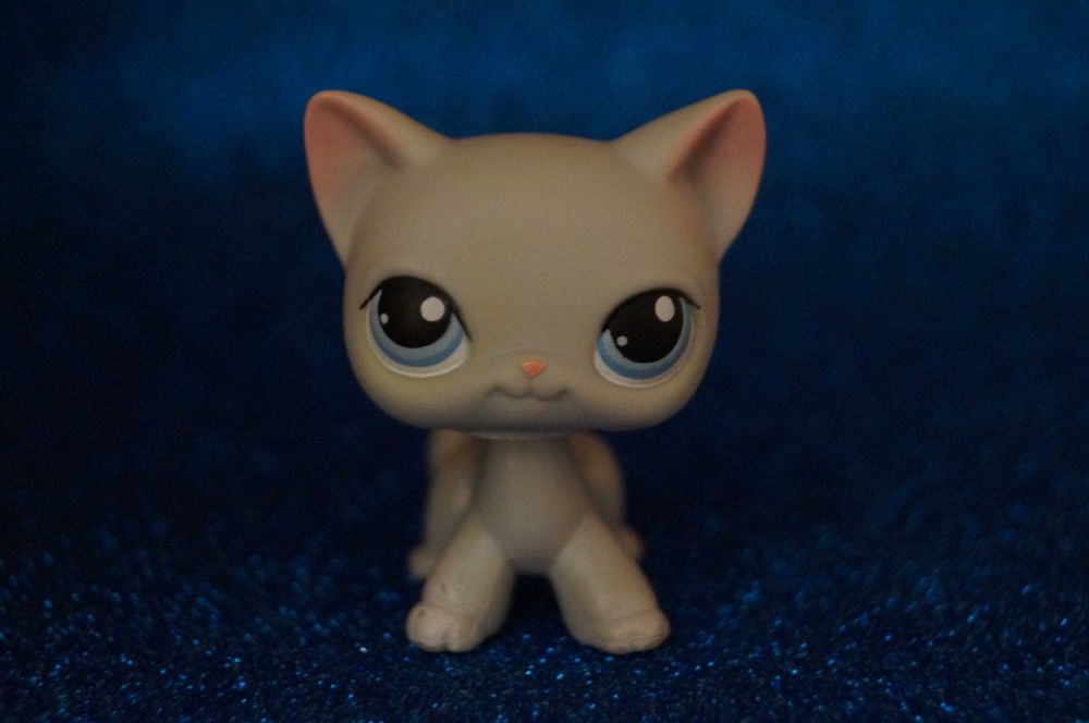 Littlest Pet Shop LPS #246 shorthair oryginalny cat pop Hasbro
