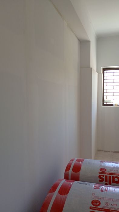 Pintor profissional