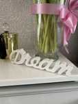Napis bialy dream 3D