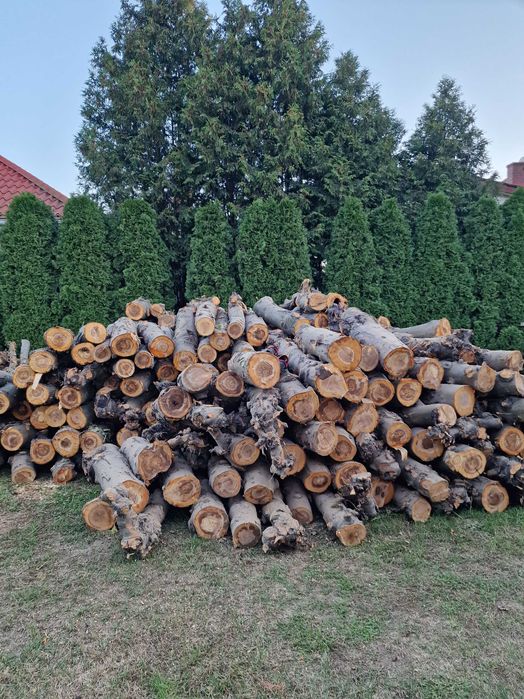 Drewno opałowe sosnowe
