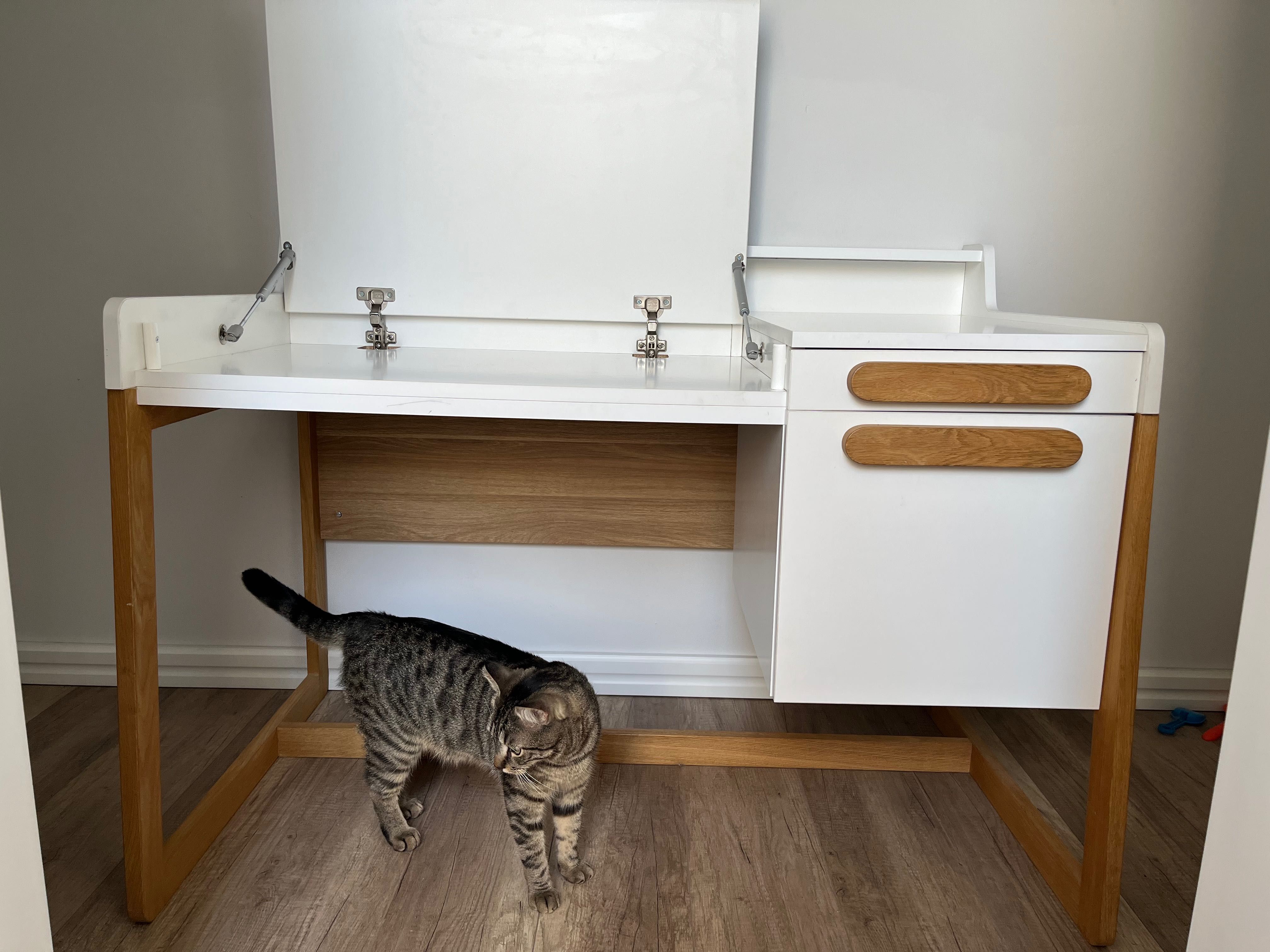Timoore Biurko First + kontenerek