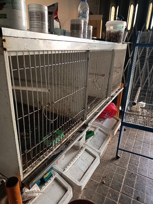 Gaiola ideal para criar à mão