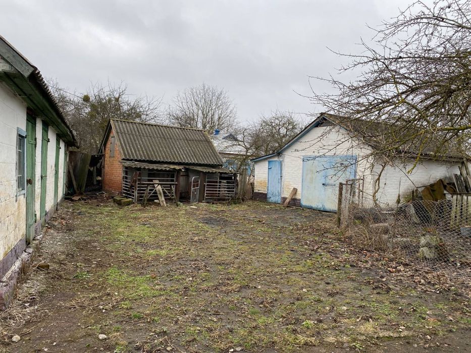 Будинок у селі з господарськими спорудами