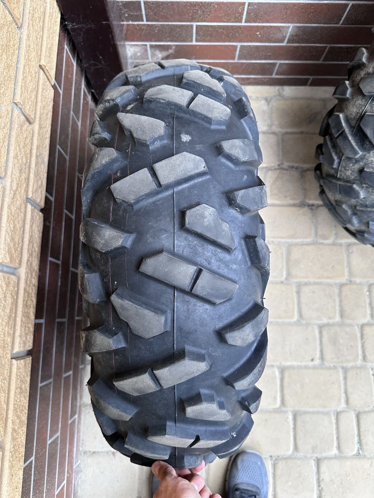 Maxxis bighorn 29*9/14 29*11/14