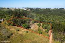 Terreno  para venda