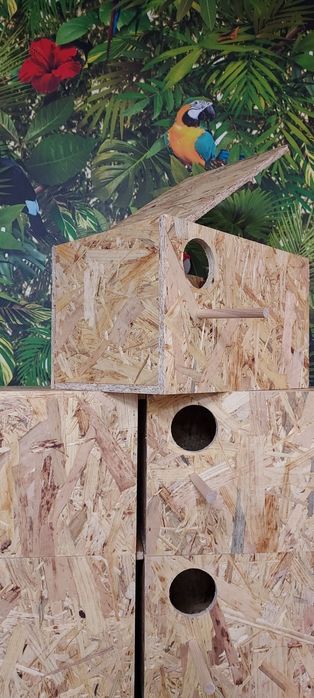Budki lęgowe dla ptaków papug średnich budka legowa