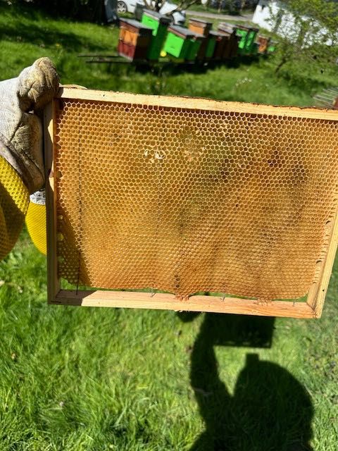 Ramki na miód, susz