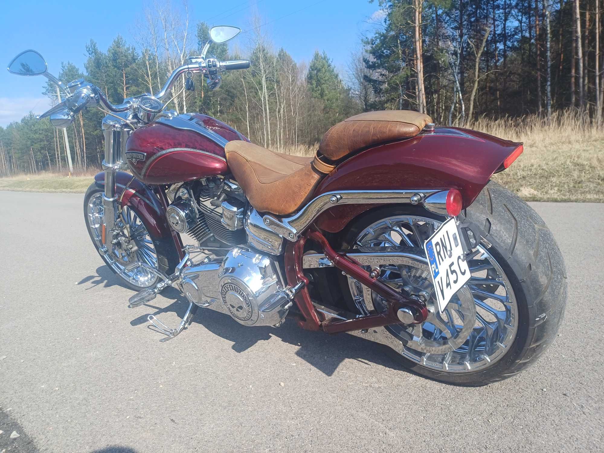 Harley-Davidson Breakout 2013 CVO 110