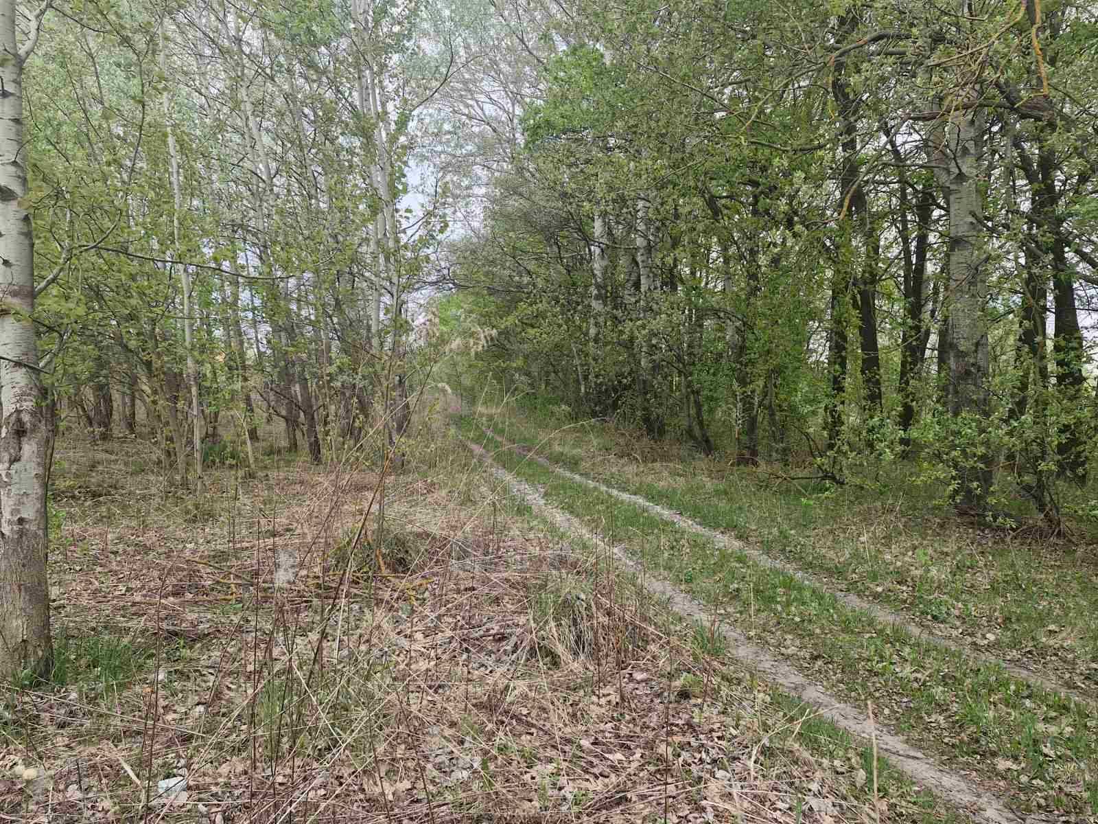 Ділянка 8сот Хінчанка/Параджанова (26133956)