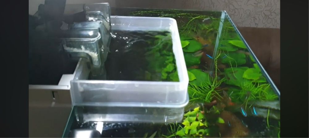 Аквариум HAGEN Fluval EDGE 46 л, рыбки , креветки, растения