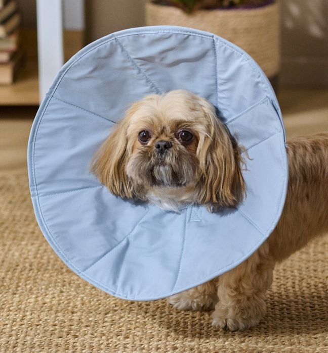 Kołnierz kaptur ochronny rehabilitacji vet obroża psa kota prezent zw