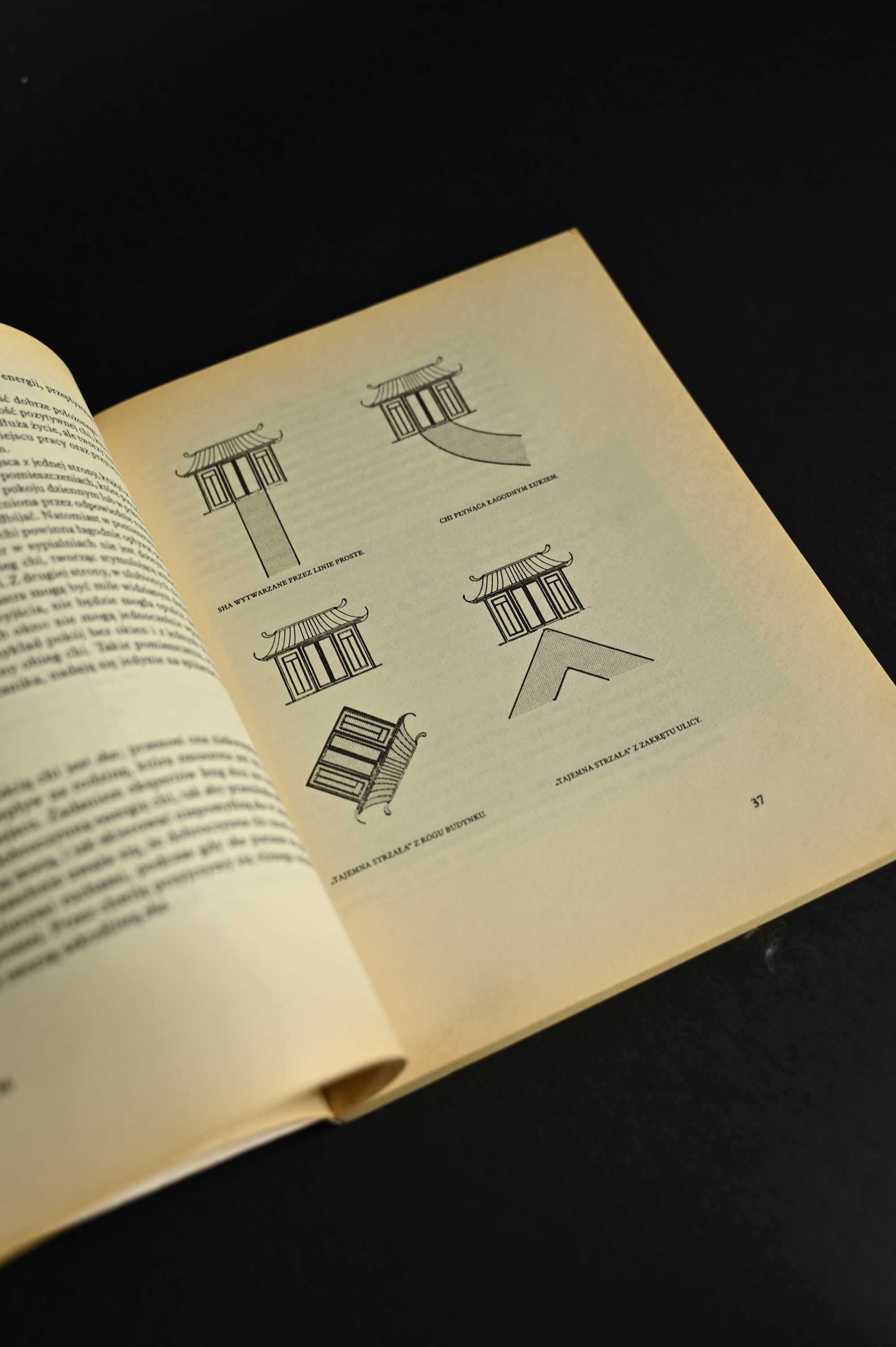 Podręcznik Feng Shui Derek Walters książka