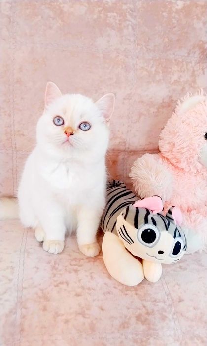 Дівчинка квіточка, неймовірно лагідна і ніжна