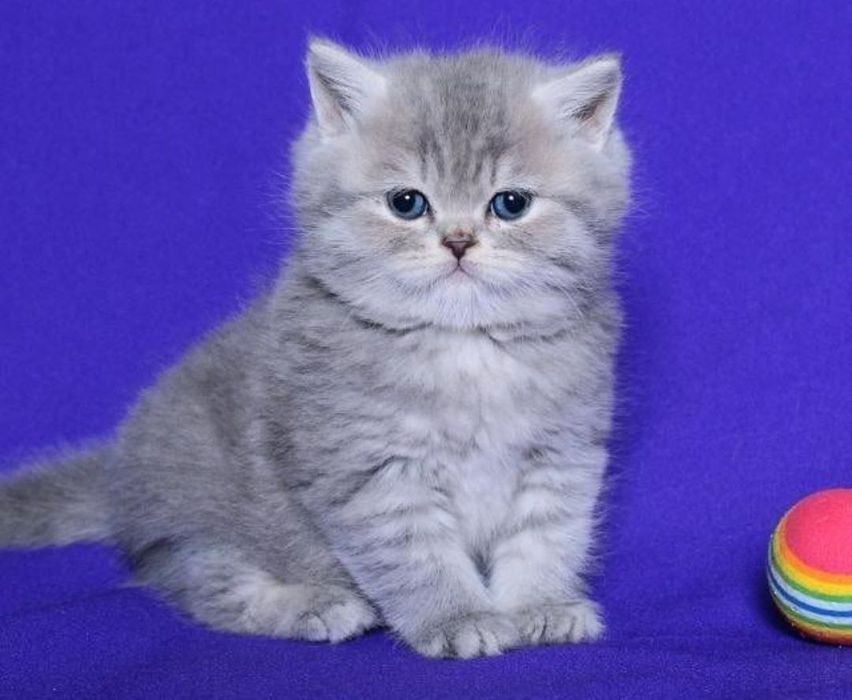 Милая девочка ждет вас