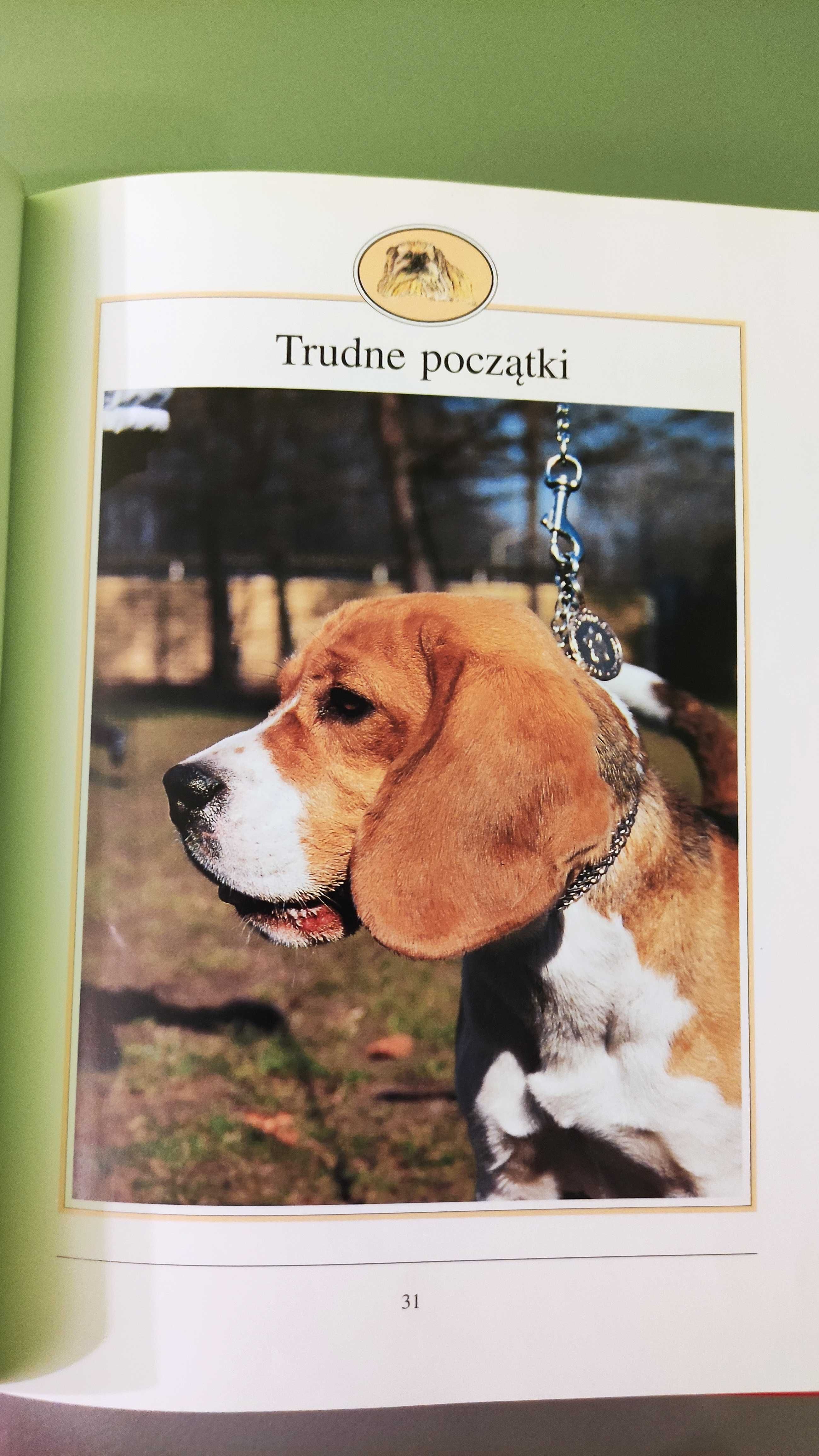 Pod jednym dachem z psem Anna Redlicka poradnik o psach czworonogi