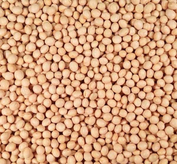 Soja Adessa Adelfia Ceres