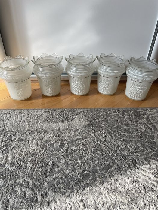 Klosze do zylandora .