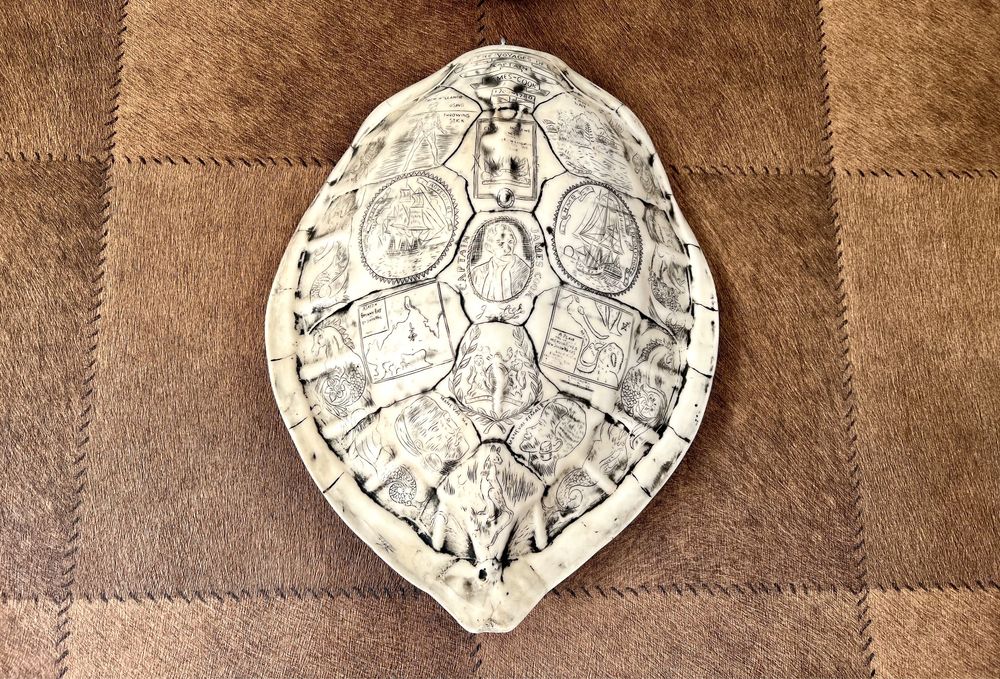 Skorupa żółwia dekoracja figurka żółw obraz
