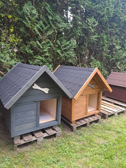 Budy dla piesków duży wybór DOSTĘPNE OD RĘKI