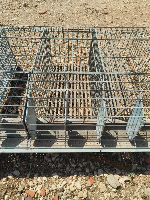 Conjuntos de coelheiras individuais