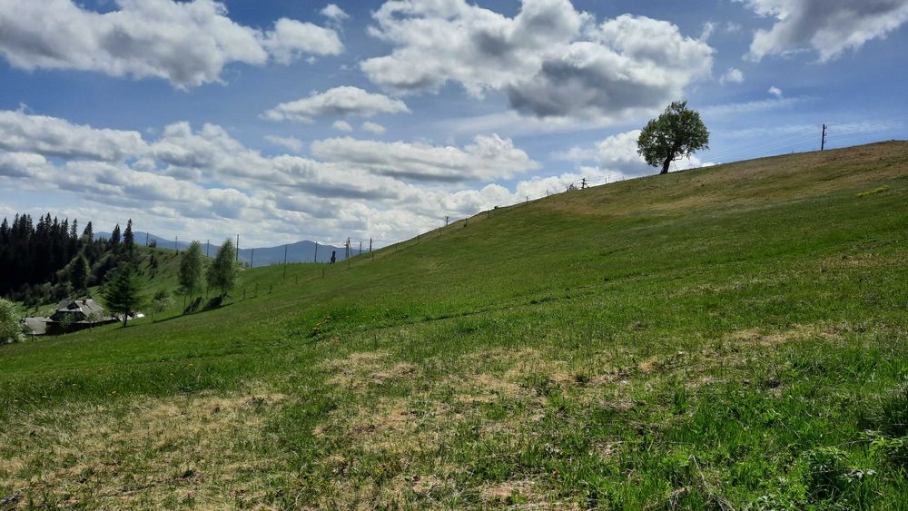 Земля 2 км від Паляниці. 13 соток з видом на Хом'як та Синяк