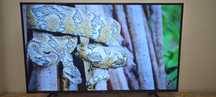 Telewizor LED 55 cali Samsung 4K Smart