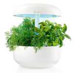 BOSCH SmartGrow Vaso Inteligente