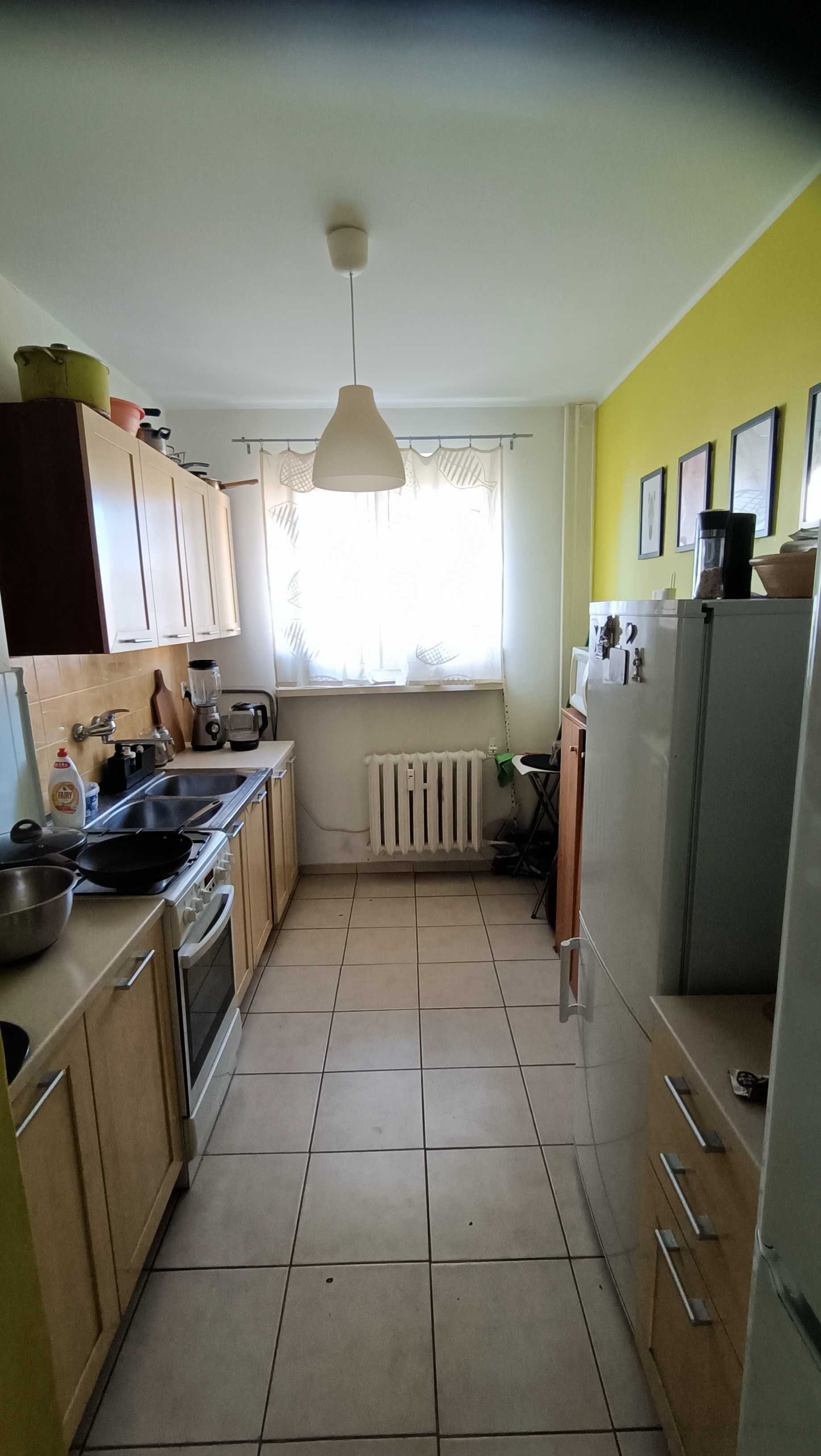 Pokój jednoosobowy na wynajem