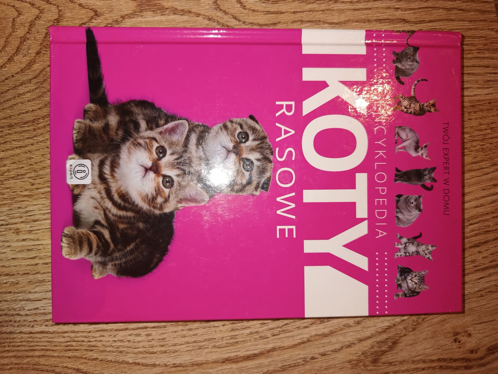 Encyklopedia kotów rasowych