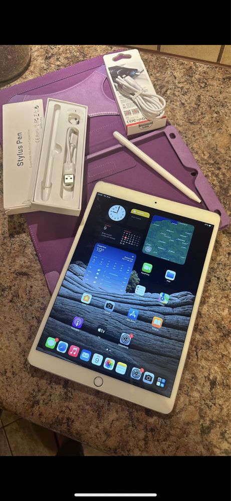 Tablet iPad Apple —-PRO —- Rose Gold - Touch ID - PROCREATE