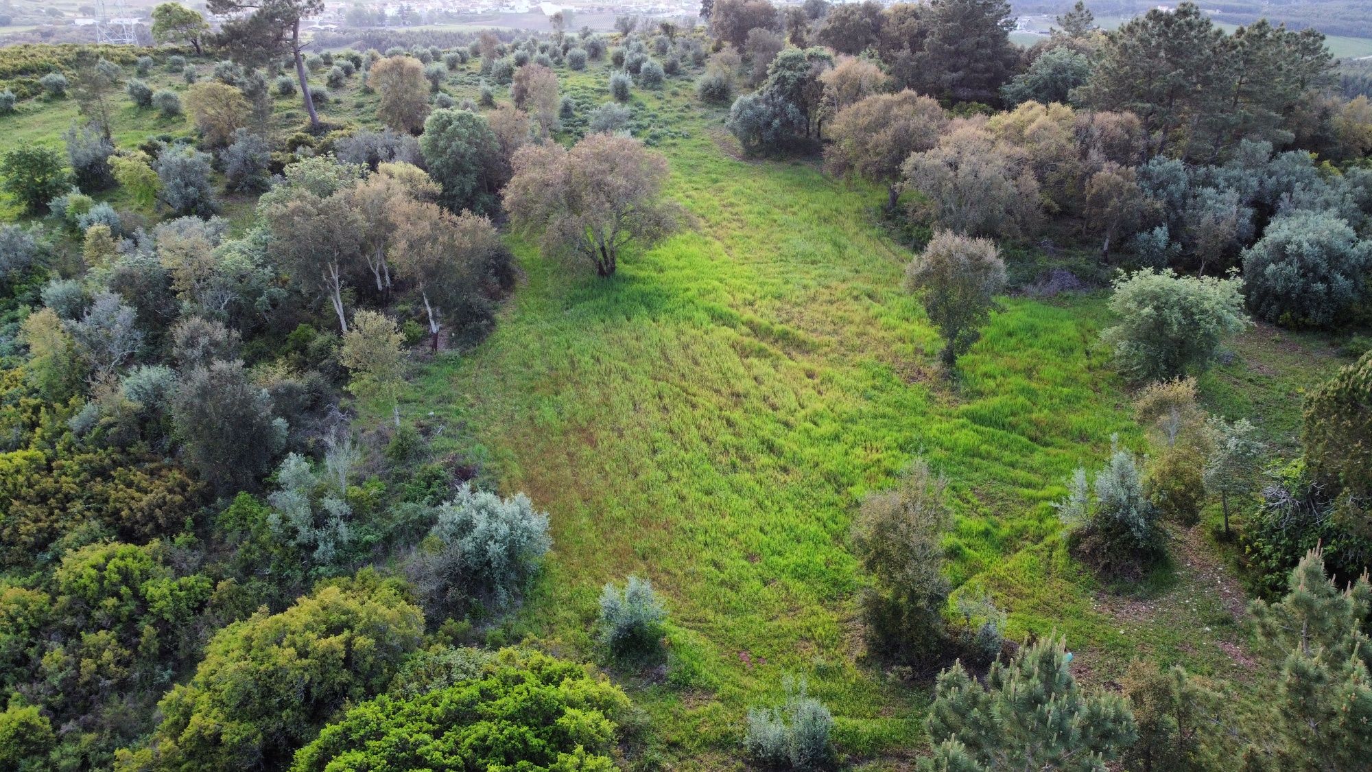 Terreno com 12.000 m²