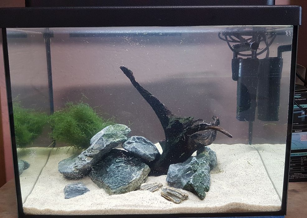 Akwarium z aranżacją 30 litrów, osprzęt.