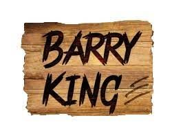 Barry King Żwirek bentonit dla kota leśny 5L