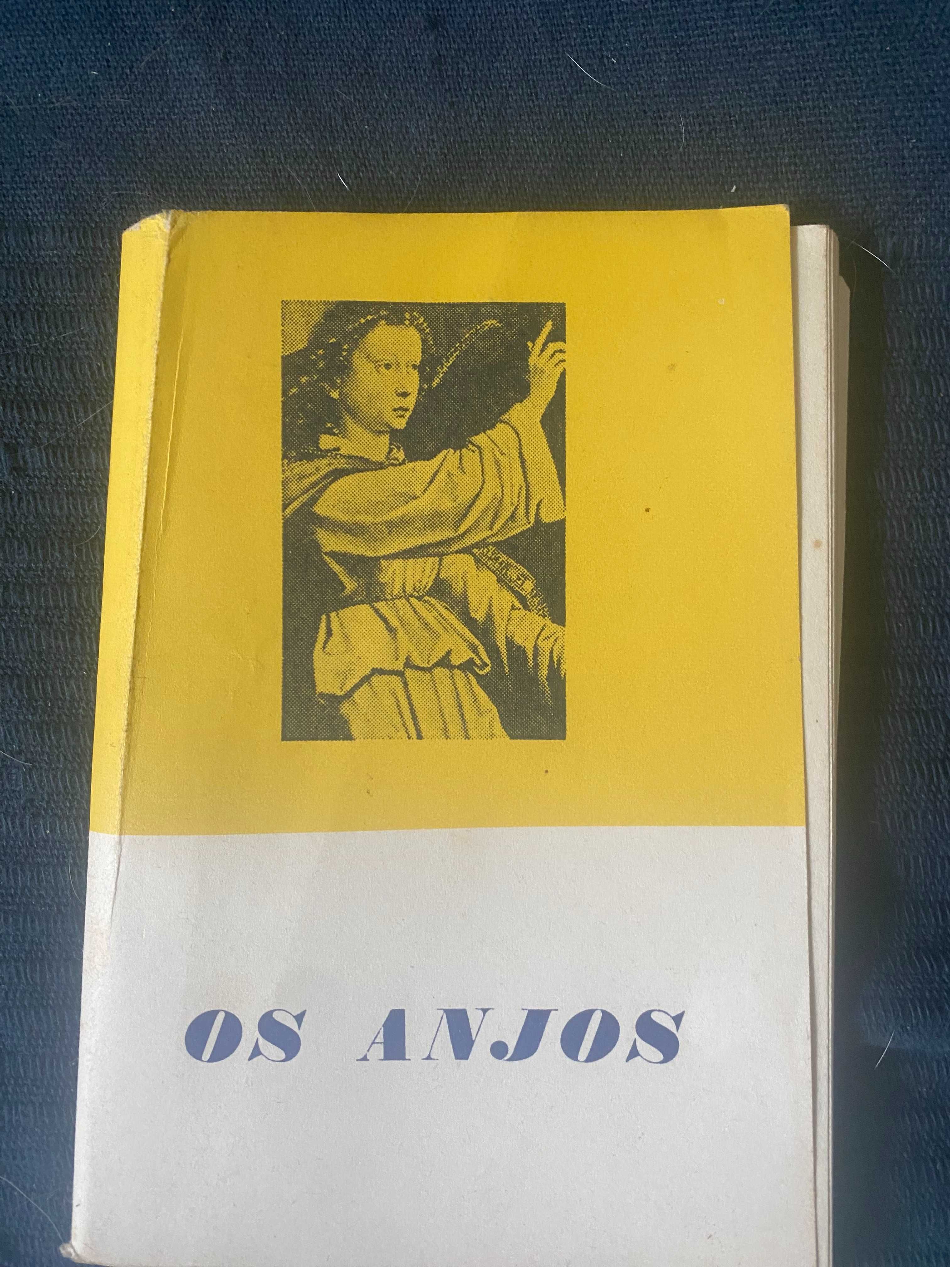 livro os anjos de padre oliveiros de jesus reis