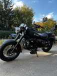Мотоцикл RIDER Renegade 250