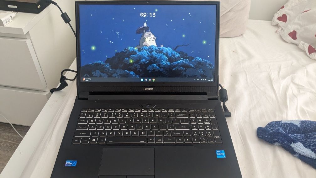Ноутбук Hasee TX9(Clevo n960kx)