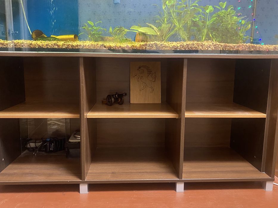 Аквариум с тумбой в комплекте (550литров)