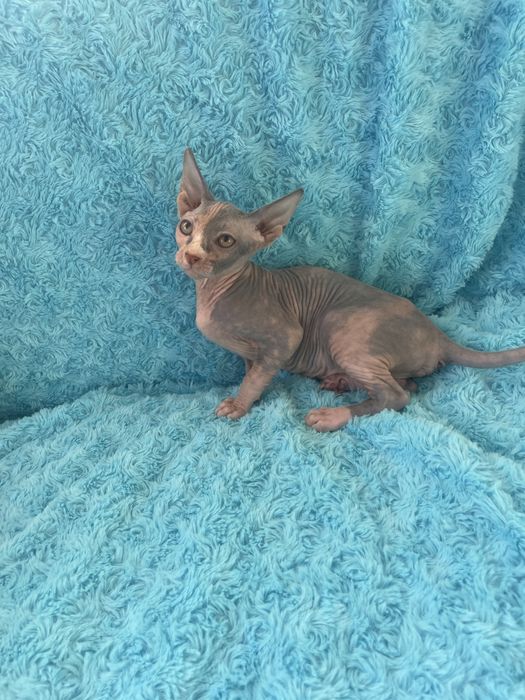 Казкова ляля