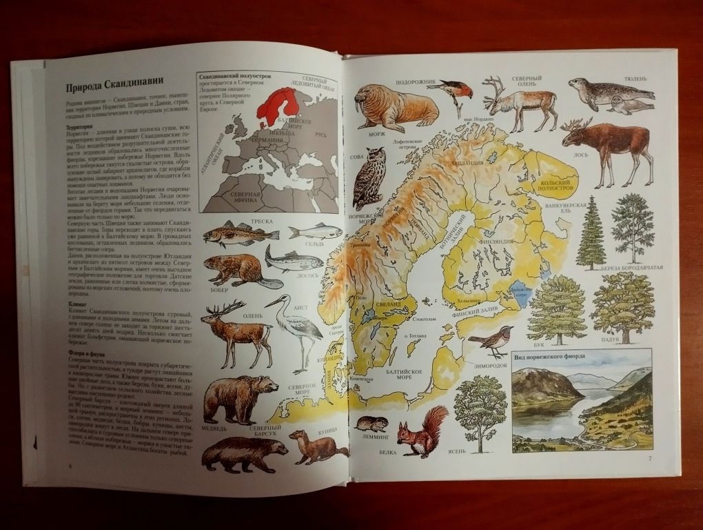 "Кельты и Викинги". Дж.Казелли. Новая.