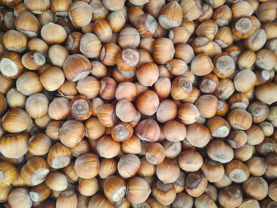 Orzechy laskowe - niepryskane 2 kg