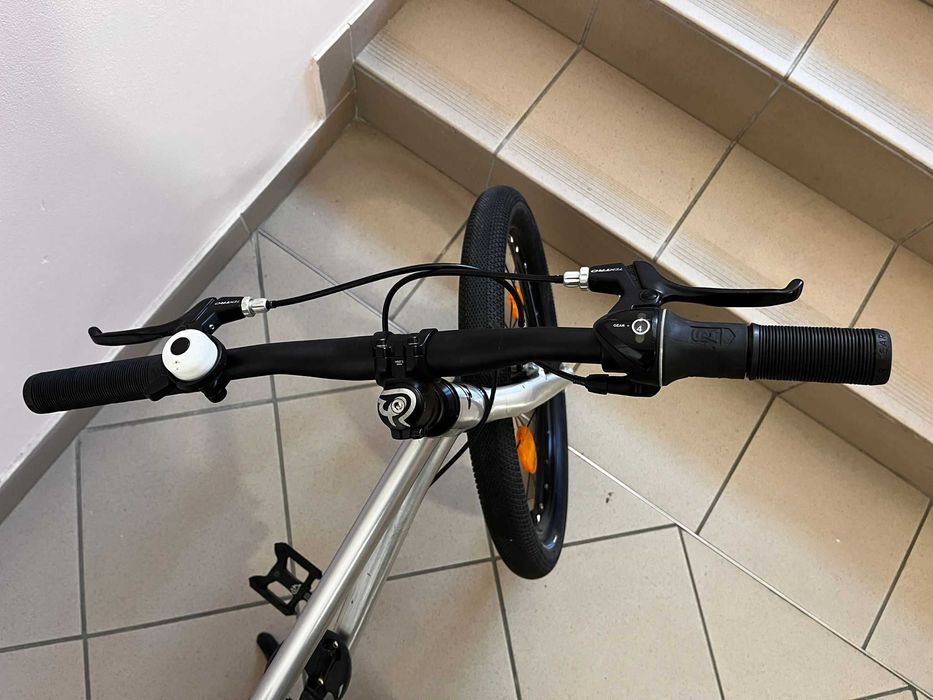 Rower Early Rider Belter 20