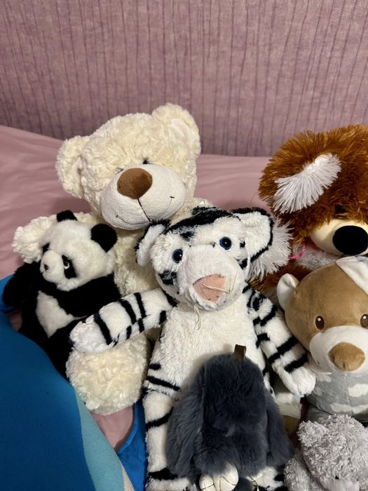 Багато різних дитячих мʼяких іграшок дельфін ведмідь собака панда тигр