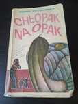 Chłopak na opak. Hanna Ożogowska