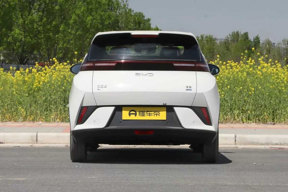 BYD Seagull 405 km Flying 2025