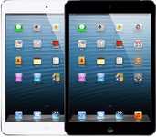 iPad mini Wi-Fi 16GB