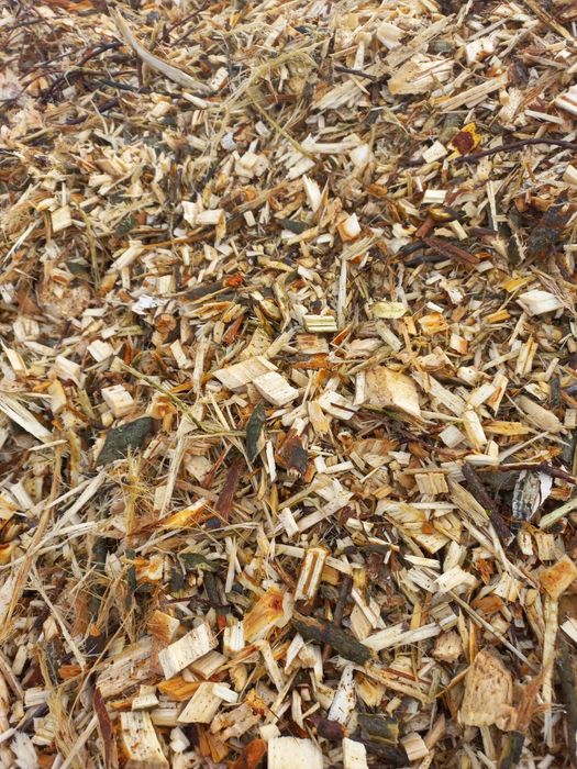 Продам щепу ціна договірна