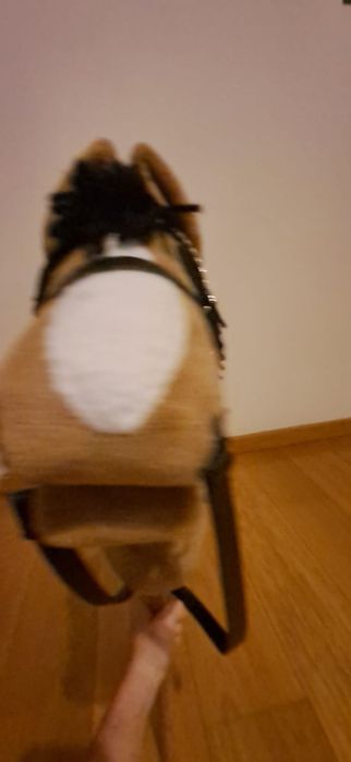 Hobby horse używany