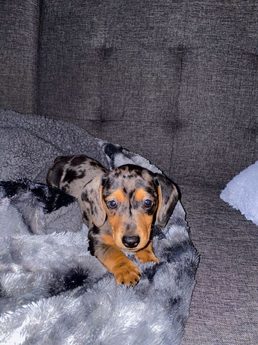 В наявності 2 хлопчики